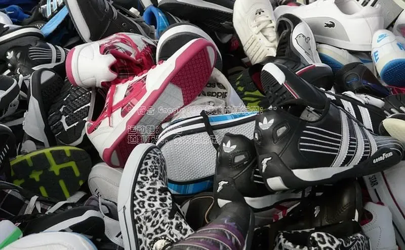 Bsports网页版登录入口彩讯股份**符合 Google SEO 标准的新标题：**

运动鞋：从跑
道到街头，全方位指南