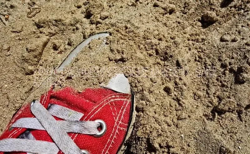 bsports官网首页知乎2024年佛山里水鞋类制造业展望：机遇
与挑战