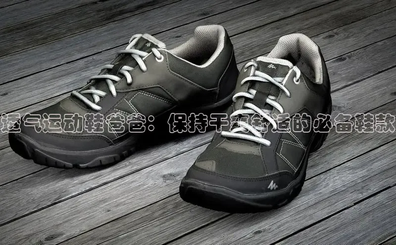 Bsports在线登录入口百度教育透气运动鞋爸爸：保持干爽舒适的必备鞋款