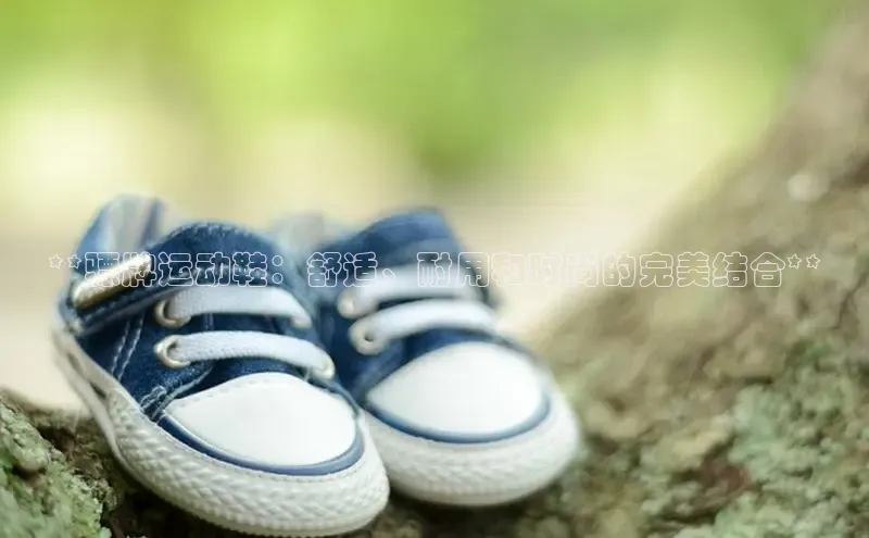 bsports网页版登录官方入口百度安全社区**骠牌运动鞋：舒适、耐用和时尚的完美结合**