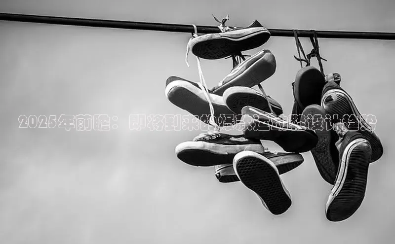 2025年前瞻：即将到来的爆款运动鞋设计趋势