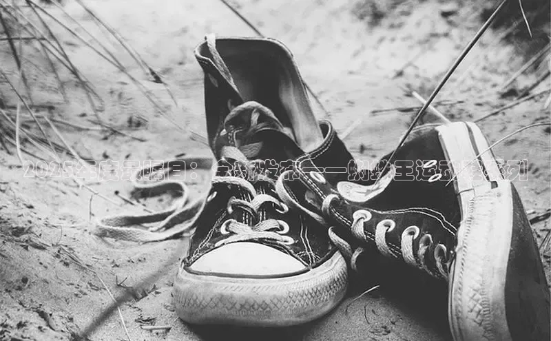 2025年度最瞩目：全新发布——蜘蛛王运动鞋系列