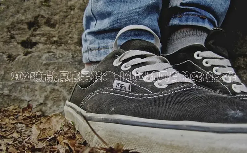 bsport体育最新官网入口