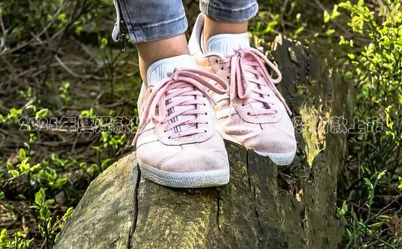 bsports官网 必一运动