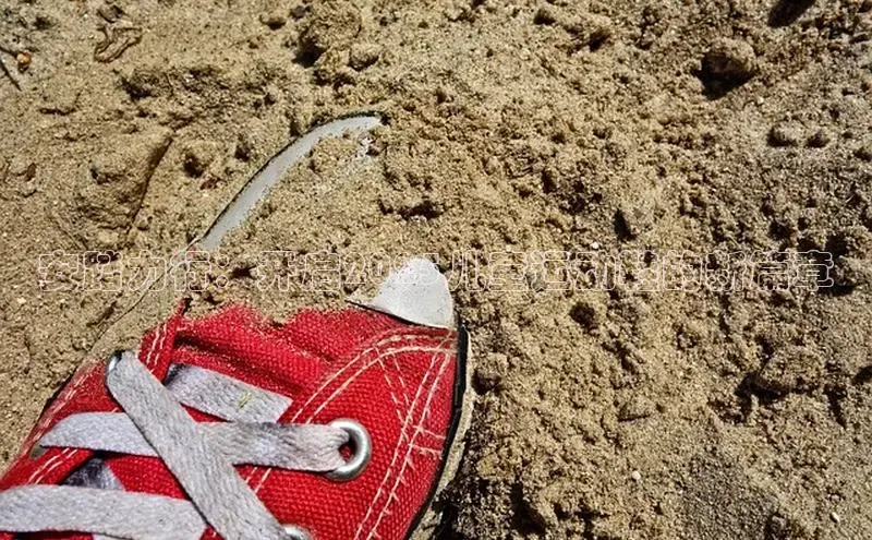 B体育网页版在线登录官网