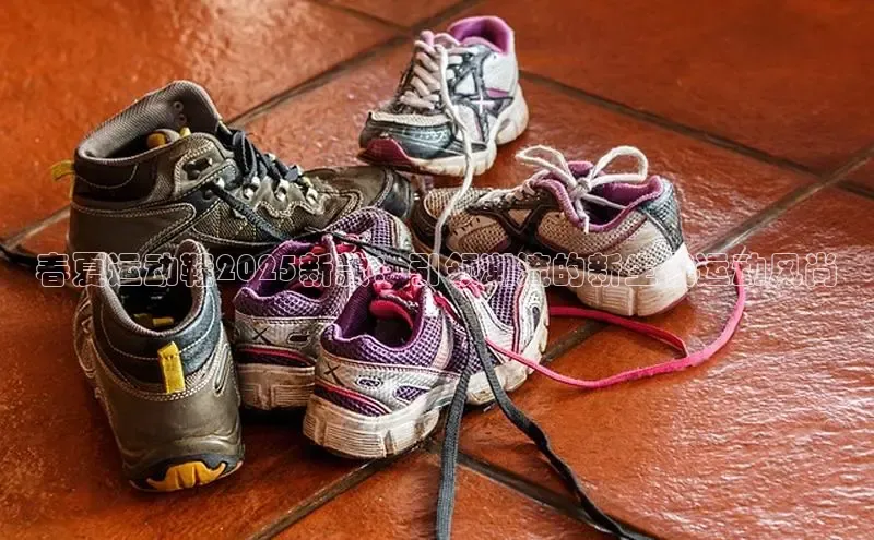 B体育手机版下载app