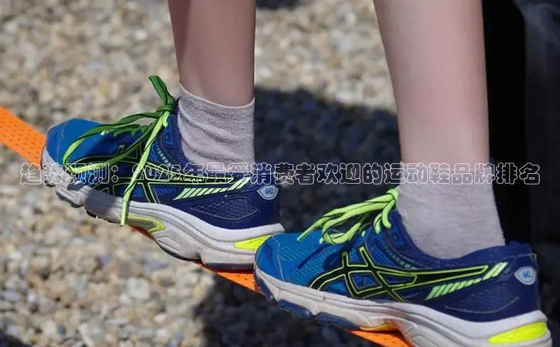 bsport体育最新官网入口