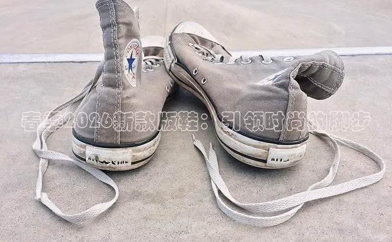 B体育app在线登录下载
